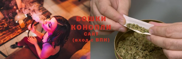 винт Богородск