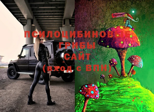 мяу мяу мука Богданович