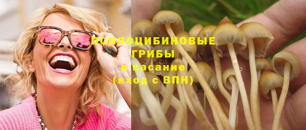 винт Богородск