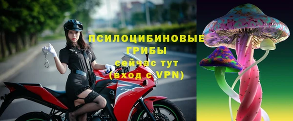 винт Богородск