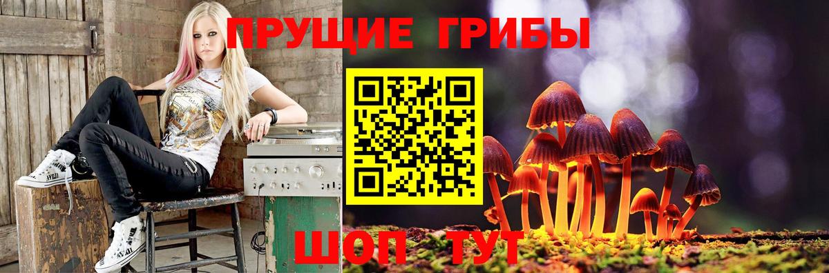 Галлюциногенные грибы Cubensis  Вход с VPN  Буйнакск 