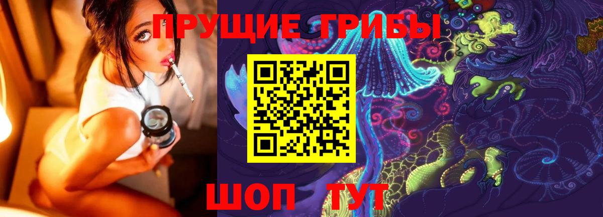 Галлюциногенные грибы Psilocybine cubensis Буйнакск